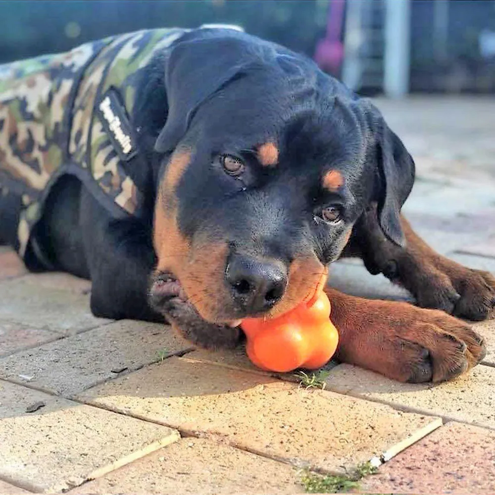 Soda Pup Crazy Bounce Orange Squeeze