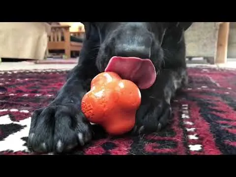 Soda Pup Crazy Bounce Orange Squeeze