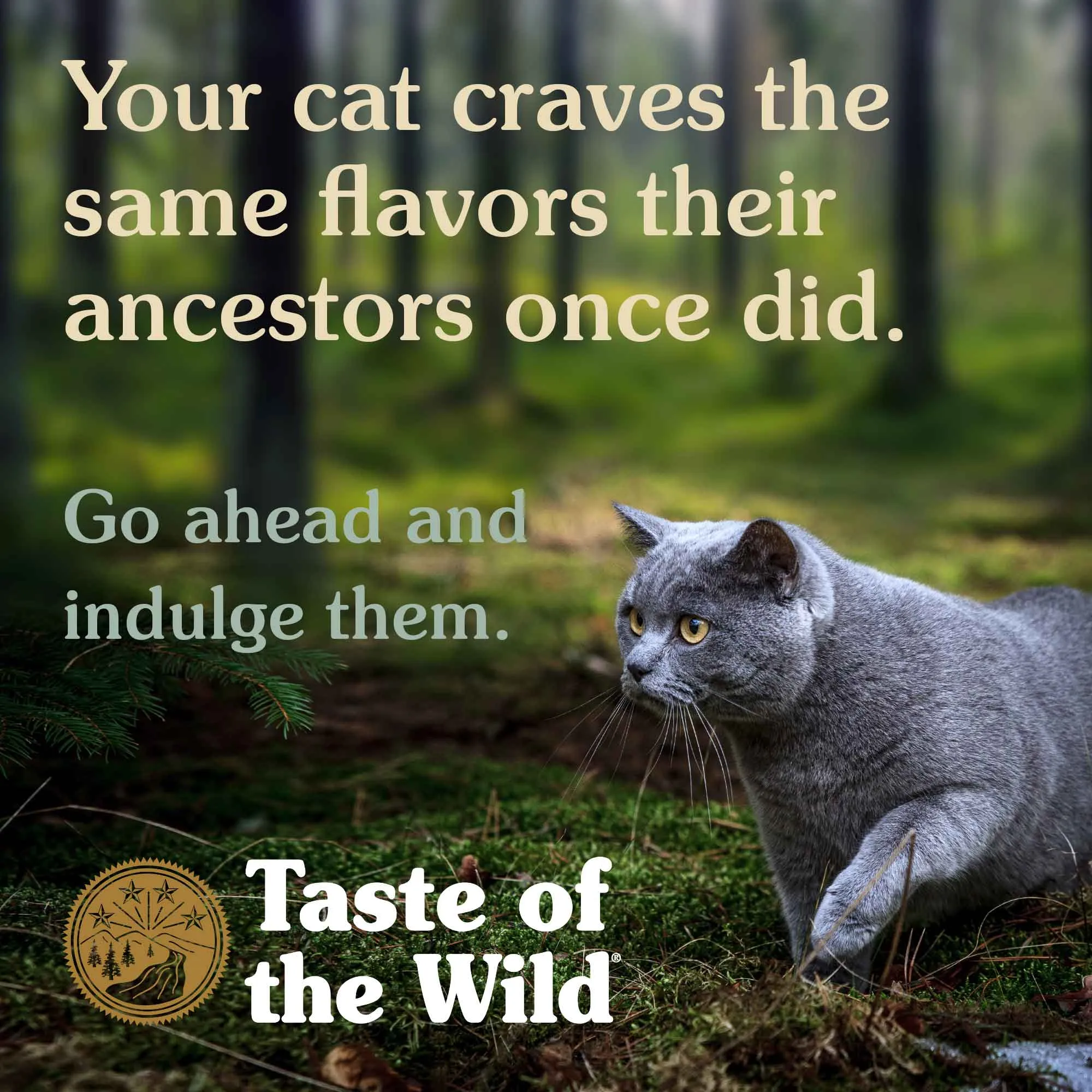 Taste of the Wild Grain-Free Canned Cat Food